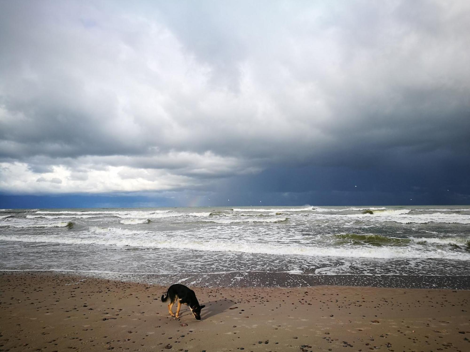 Provincija Hotel Palanga Bagian luar foto