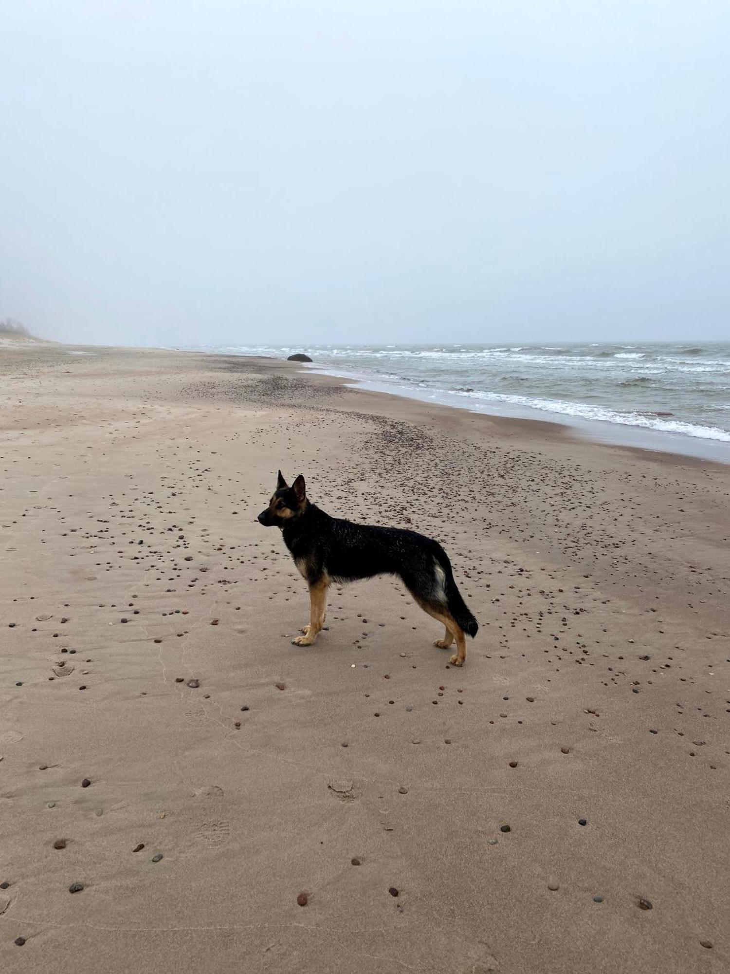 Provincija Hotel Palanga Bagian luar foto